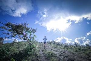 BIB: 
                            <button type="button" onclick="openModal(15955503)" class="btn btn-primary btn-sm float-right btn-popup" data-toggle="modal" data-target=".modal-high-quality">
                        <i class="fas fa-shopping-cart"></i> Add to Cart
                    </button>
                                            <button type="button" onclick="isThisMe(15955503, true)" class="btn btn-success btn-sm float-right btn-popup btn-isme hidden" data-toggle="tooltip" data-placement="bottom" title="นี่คือรูปของคุณใช่ไหม คลิกที่นี่เพื่อเอาเข้าอัลบั้ม">
                        <i class="fas fa-plus"></i> Add to album
                    </button>
                    <button type="button" onclick="isThisMe(15955503, false)" class="btn btn-warning btn-sm float-right btn-popup btn-isnotme hidden">
                        <i class="fas fa-ban"></i> Remove from album
                    </button>